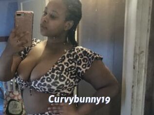 Curvybunny19