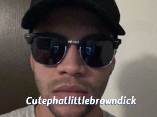 Cutephatlittlebrowndick