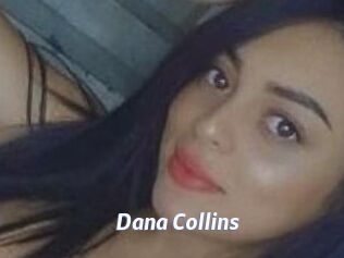 Dana_Collins