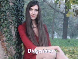 Didgeridoo