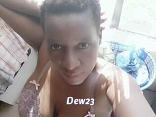 Dew23