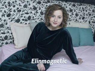 Elinmagnetic