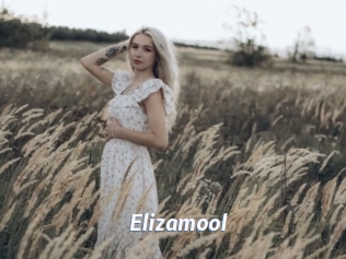 Elizamool