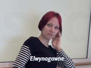 Elwynagawne