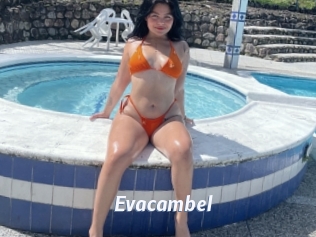 Evacambel