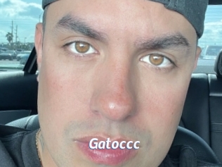 Gatoccc