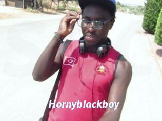 Hornyblackboy