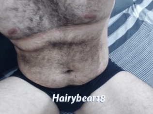 Hairybear18