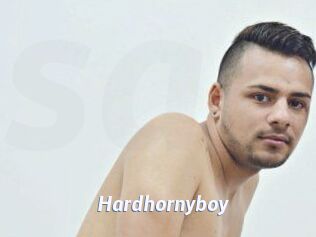 Hardhornyboy