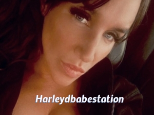 Harleydbabestation