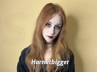 Harrietbigger