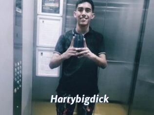 Harrybigdick