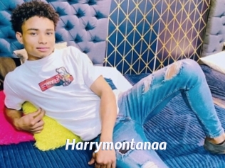 Harrymontanaa