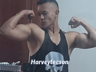 Harveytecson