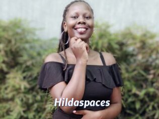 Hildaspaces