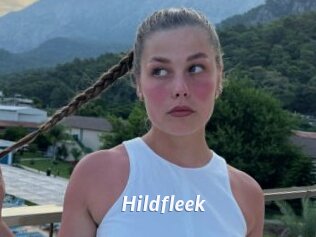 Hildfleek