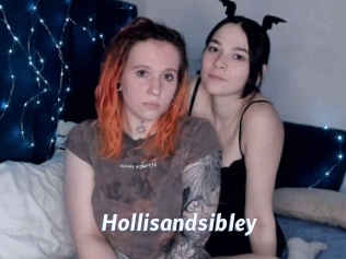 Hollisandsibley