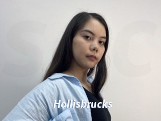 Hollisbrucks