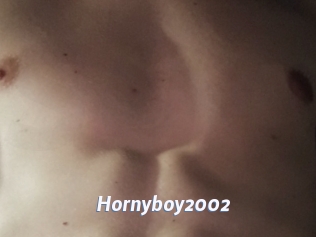 Hornyboy2002