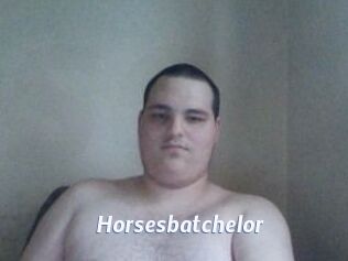 Horsesbatchelor