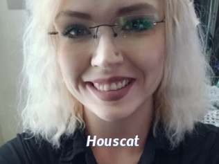 Houscat