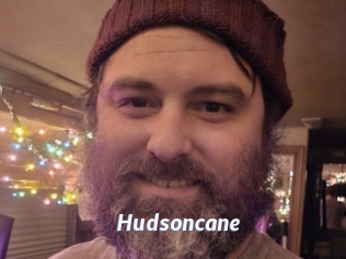 Hudsoncane