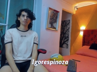 Igorespinoza