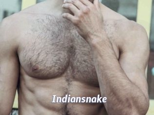 Indiansnake