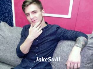 JakeSulii