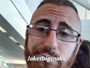 Jakesbigsnake