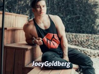 JoeyGoldberg