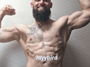 Jayybird