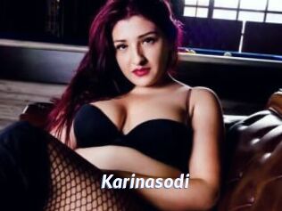 Karinasodi