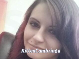 KittenCambria69