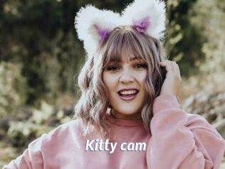 Kitty_cam