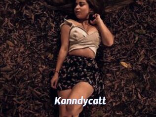 Kanndycatt