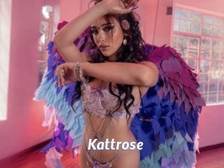 Kattrose