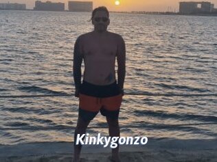 Kinkygonzo