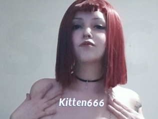 Kitten666