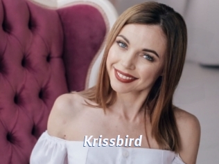 Krissbird