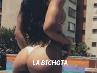 LA_BICHOTA