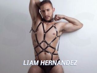 LIAM_HERNANDEZ