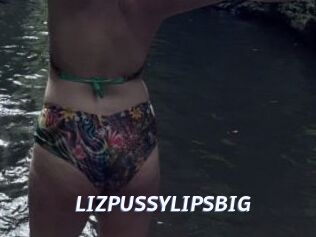 LIZPUSSYLIPSBIG