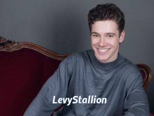 LevyStallion