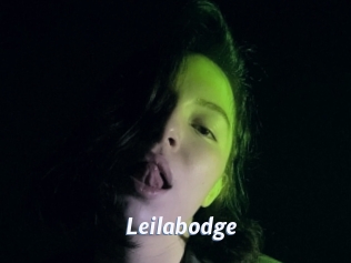 Leilabodge