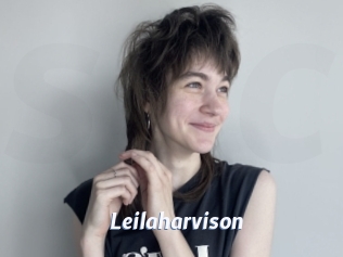 Leilaharvison