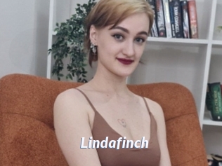 Lindafinch