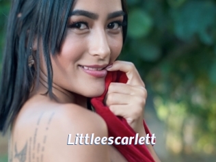 Littleescarlett