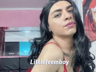 Littlefeemboy