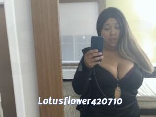 Lotusflower420710